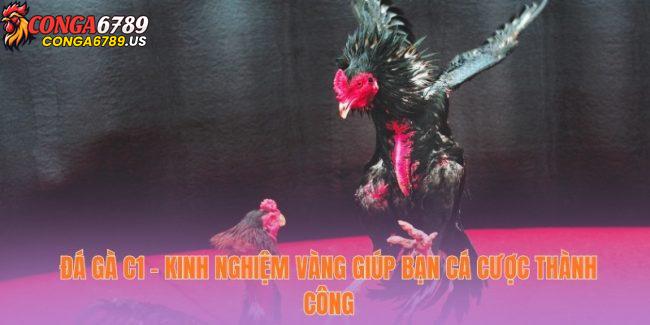 Đá Gà c1