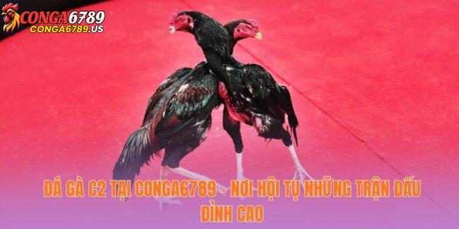 Đá Gà C2