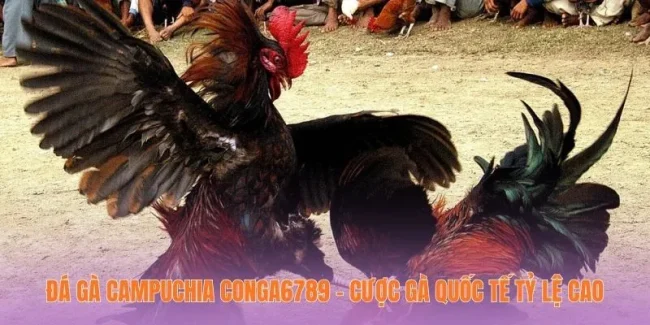 Đá Gà CampuchiaĐá Gà Campuchia