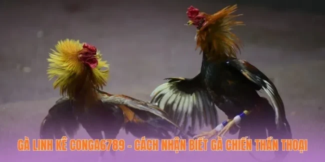 Gà Linh Kê