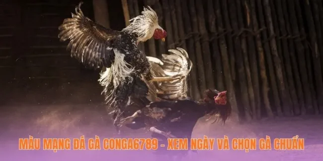 Màu Mạng Đá Gà